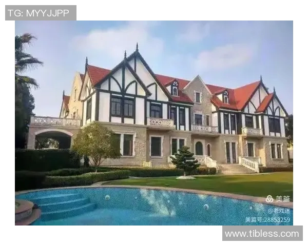 姚明豪宅奢华生活揭秘奢华设计与独特风格的完美结合 姚明豪宅奢华生活揭秘奢华设计与独特风格的完美结合