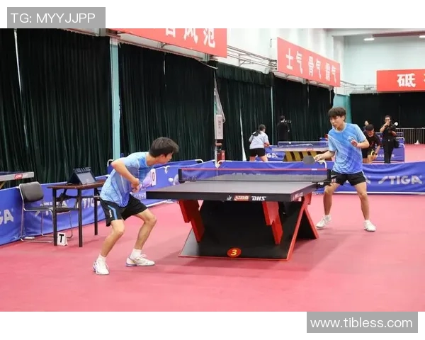 武汉乒乓球队战术深度剖析与对比研究之独特视角